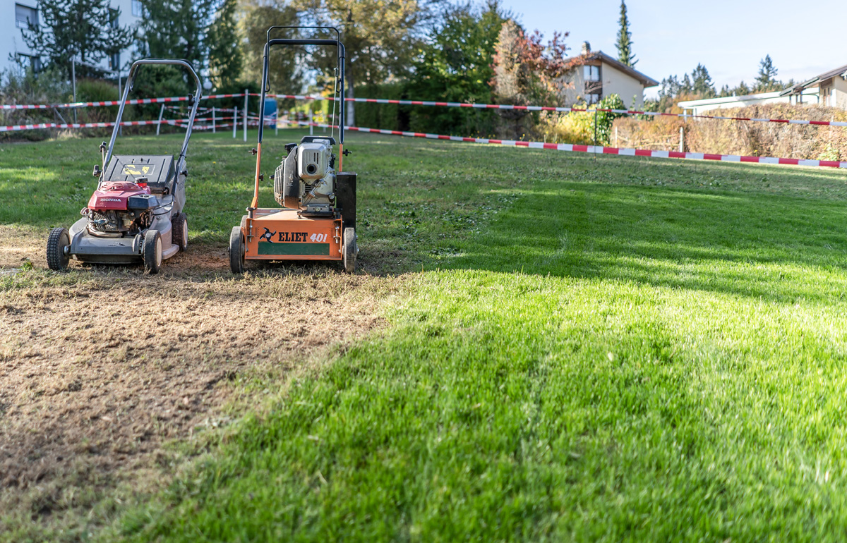 Gartenpflege: Professionelle Gartenbetreuung Nyffenegger Gartenbau AG